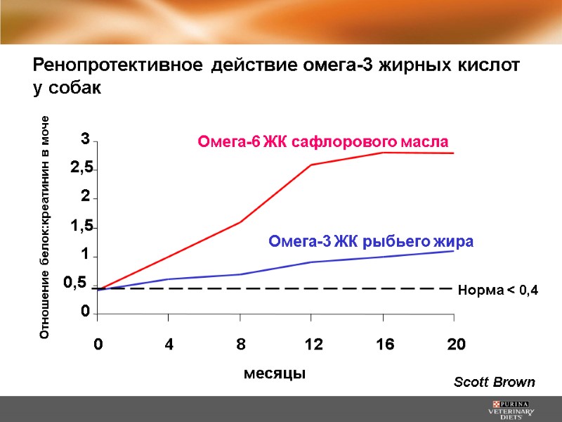 Ренопротективное действие омега-3 жирных кислот у собак 0 0,5 1 1,5 2 2,5 3